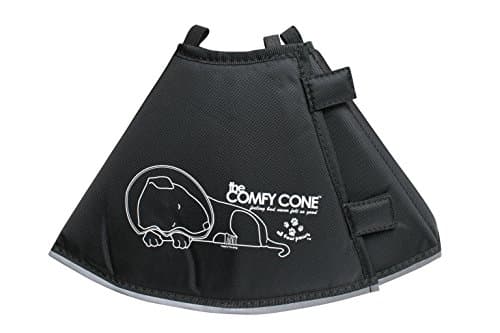 All Four Paws All Four Paws Comfy Cone