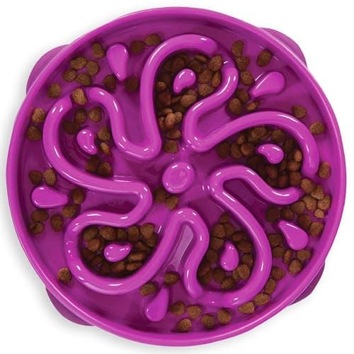 Outward Hound Outward Hound Fun Feeder Slow Feed Bowl