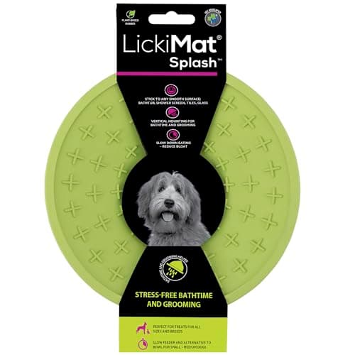 LickiMat Splash — Green