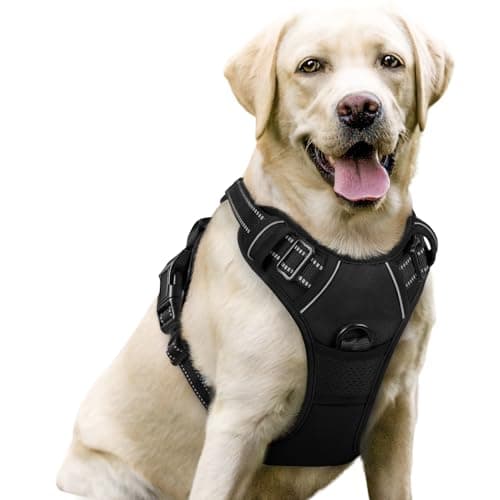 Rabbitgoo Rabbitgoo No-Pull Dog Harness