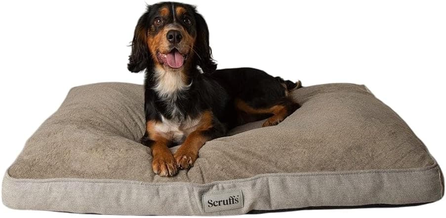 Scruffs Scruffs Harvard Memory Foam Orthopaedic Dog Mattress