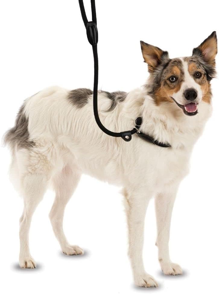 Company of Animals Company of Animals HALTI 3-in-1 Slip Lead