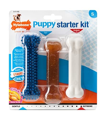 Nylabone Nylabone Puppy Starter Kit