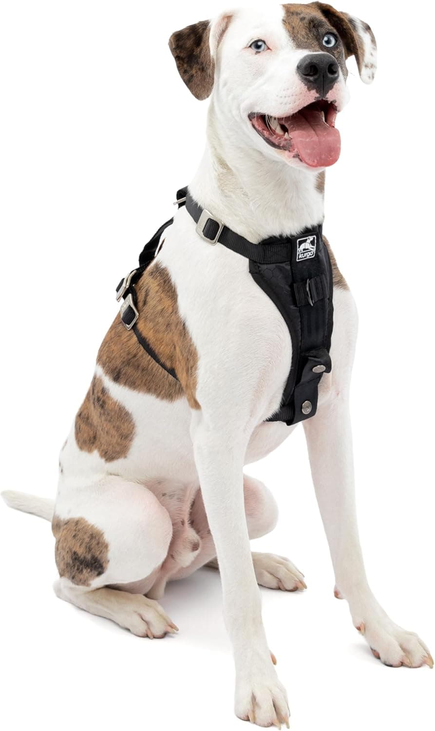 Kurgo Kurgo Enhanced Strength Tru-Fit Dog Car Harness