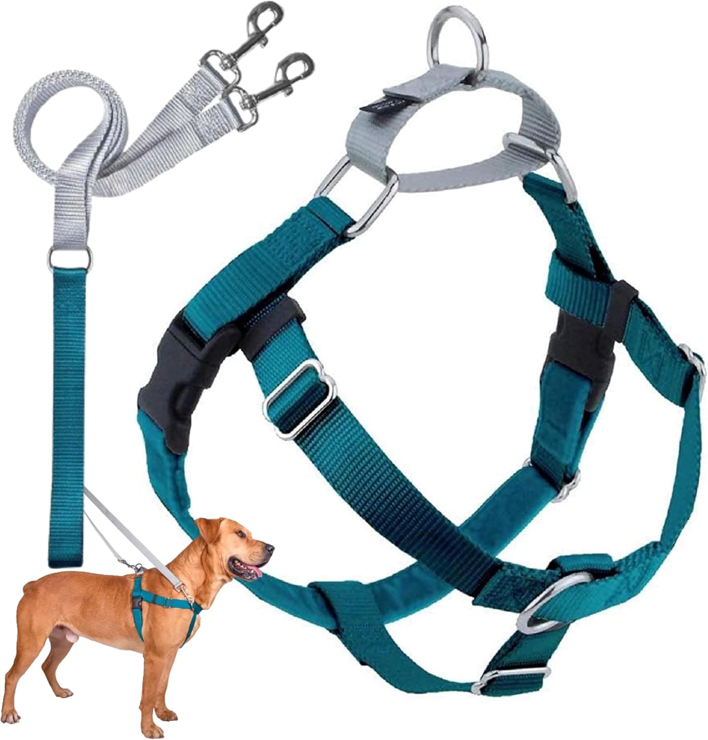 2 Hounds Design Freedom No-Pull Harness
